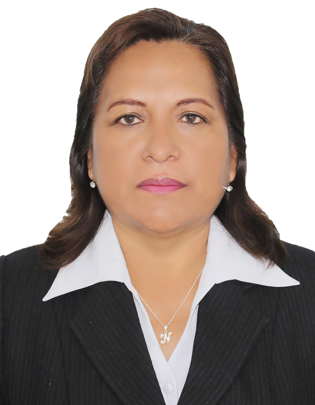 NATIVIDAD CAMARENA - Docente